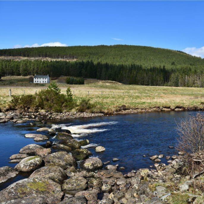Knocklea Villa Alness Exteriör bild